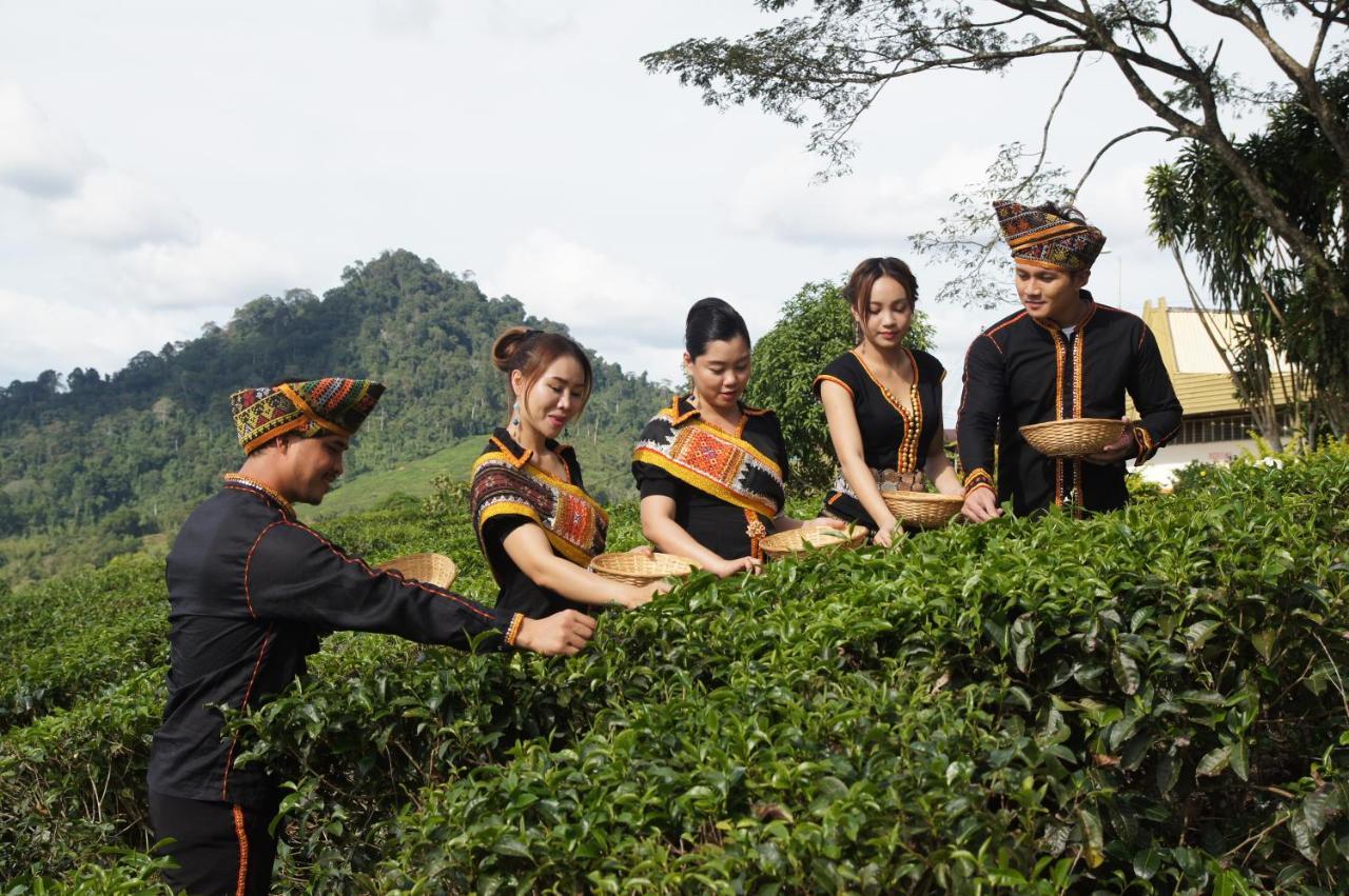 Sabah Tea Resort Ранау Экстерьер фото
