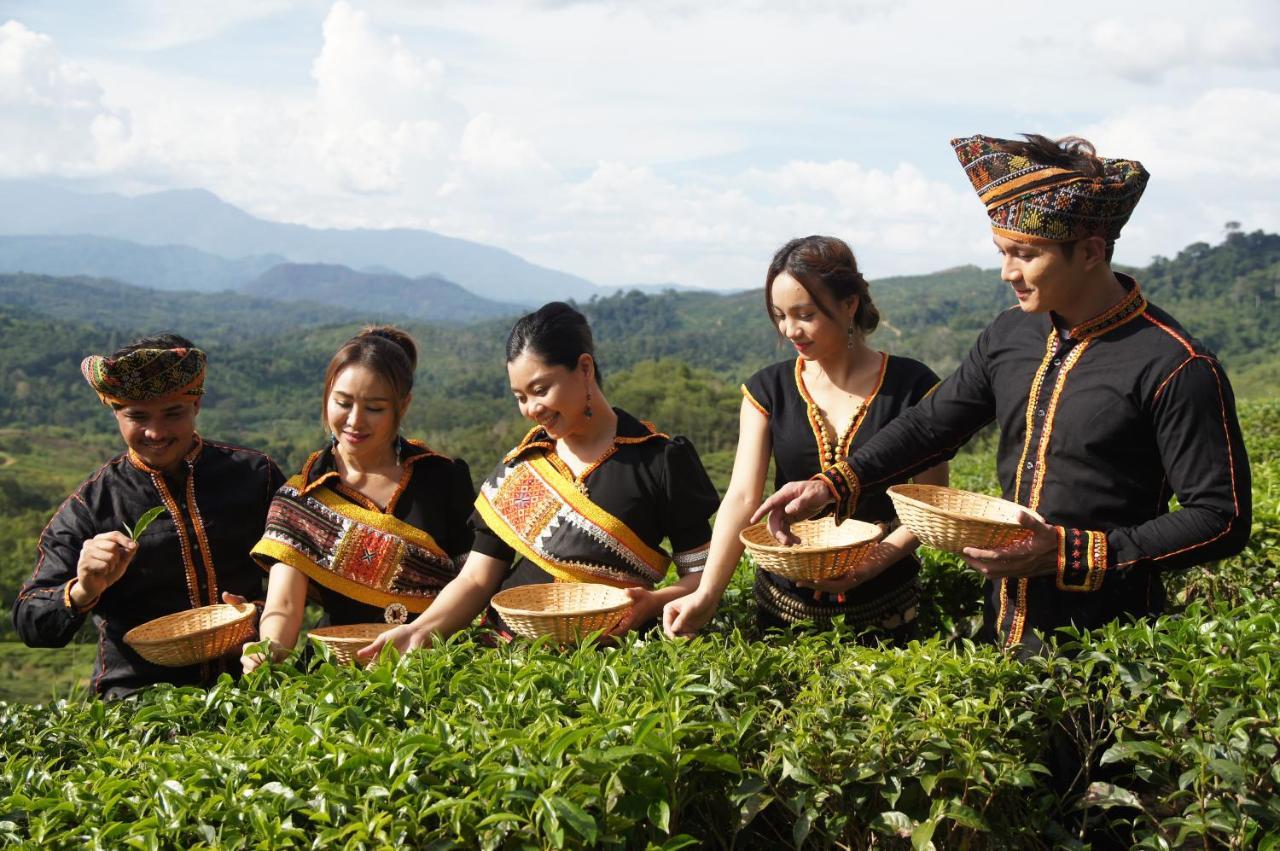 Sabah Tea Resort Ранау Экстерьер фото